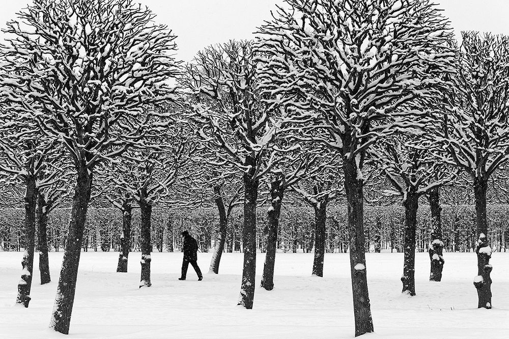 Black and white walk