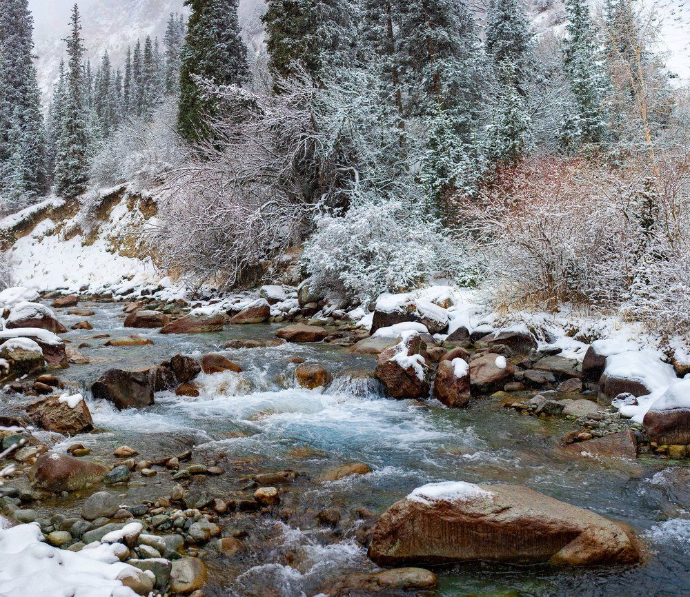 Photograph by поляков виктор викторович