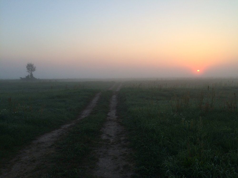 Дорога в новый день