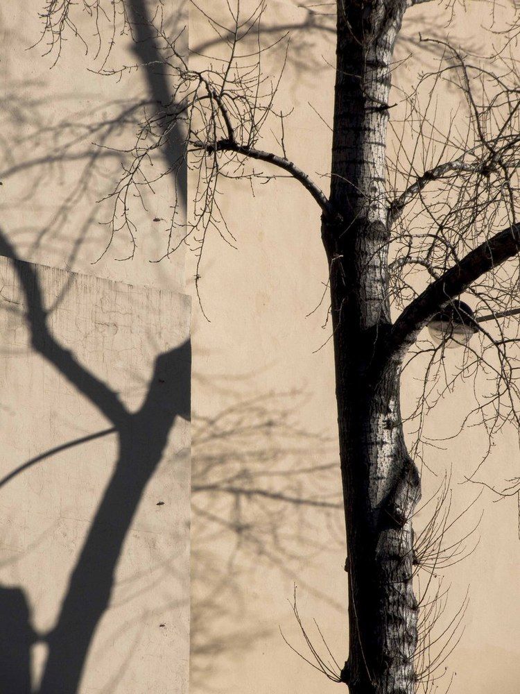 Photograph by Дарья