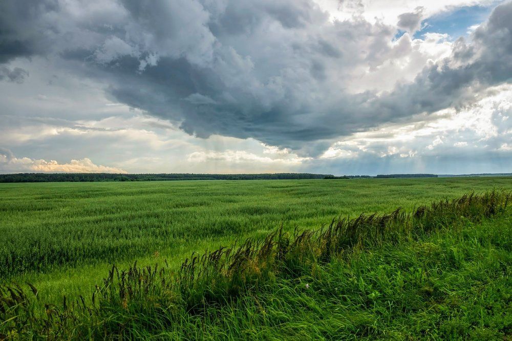 Перед дождем