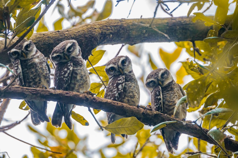 Are you clicking photos of me?