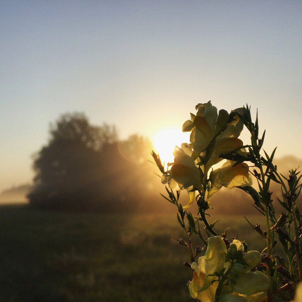 Утро нового дня