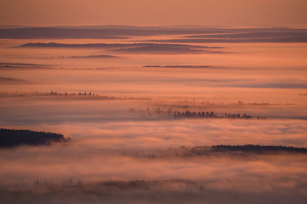 Красновишерские леса в утреннем тумане