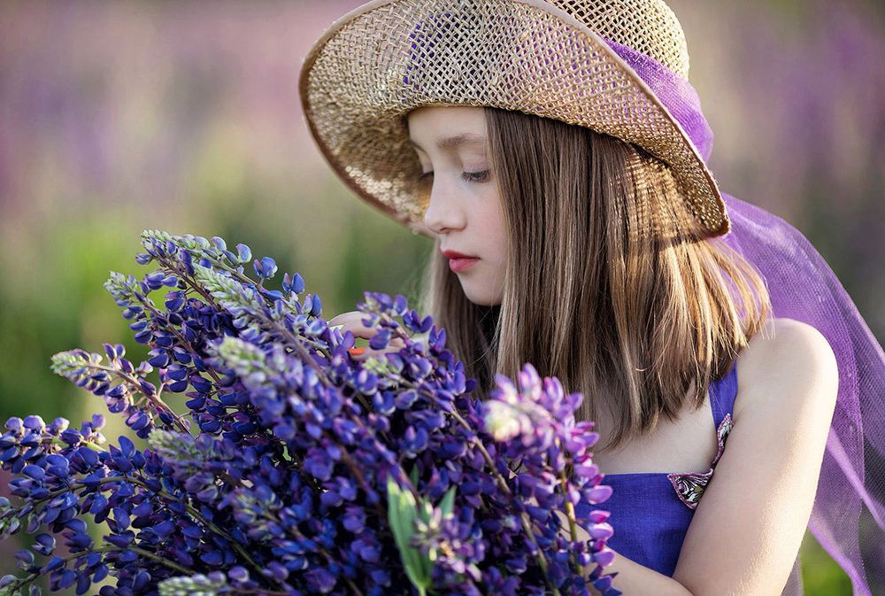 Люпины для Виргинии