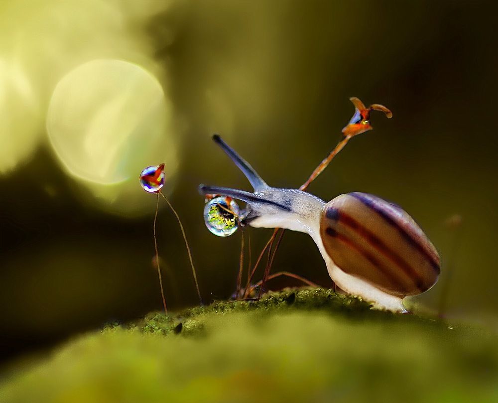 дотянуться до капельки