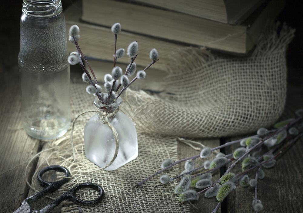 Вербное настроение...