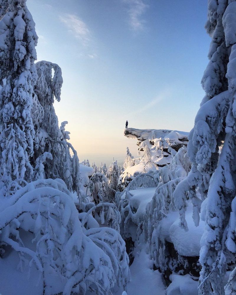 Верхом на черепахе