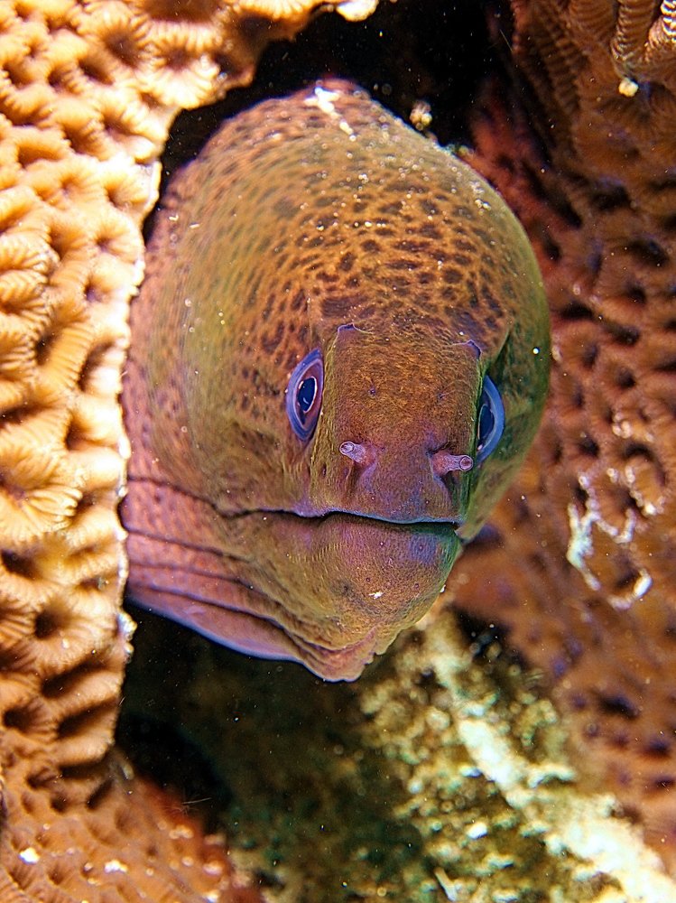 Когда костюм точно в тон