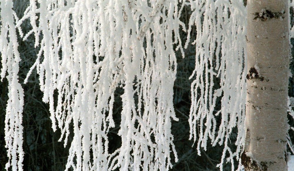 Photograph by Игорь Кляхин