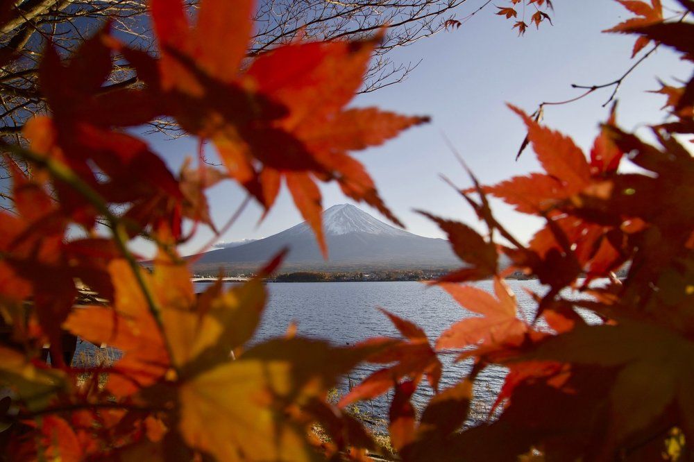 Фудзияма и момидзи