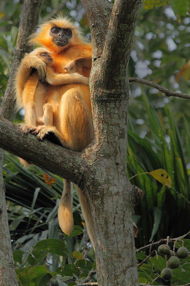 Its always peace in Mother's Arms