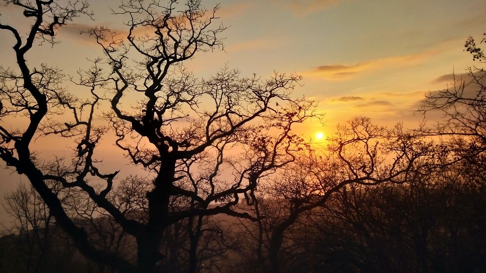 Рождественский закат