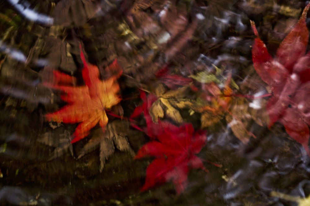 Эстетика момидзи