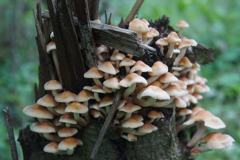 Photograph by Екатерина