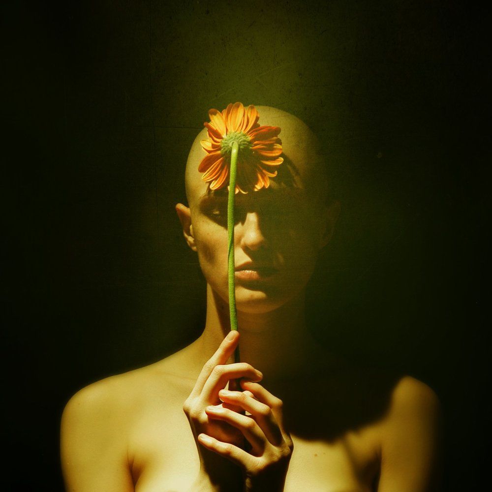 Photograph by Васильев-Апостол Ярослав