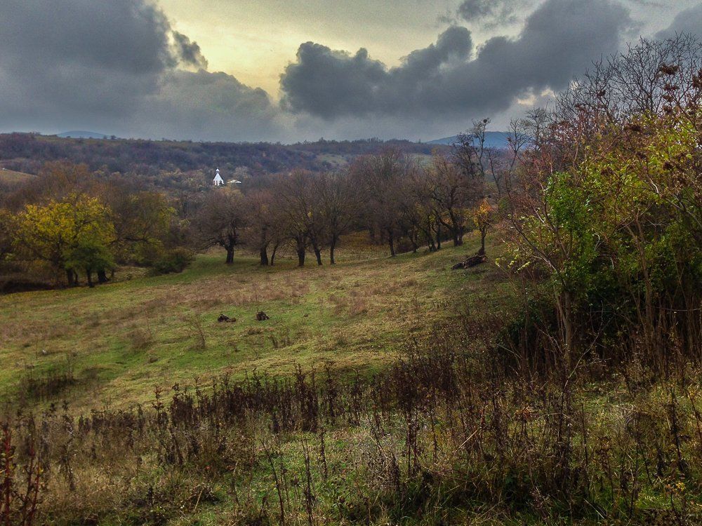 В лесах и горах