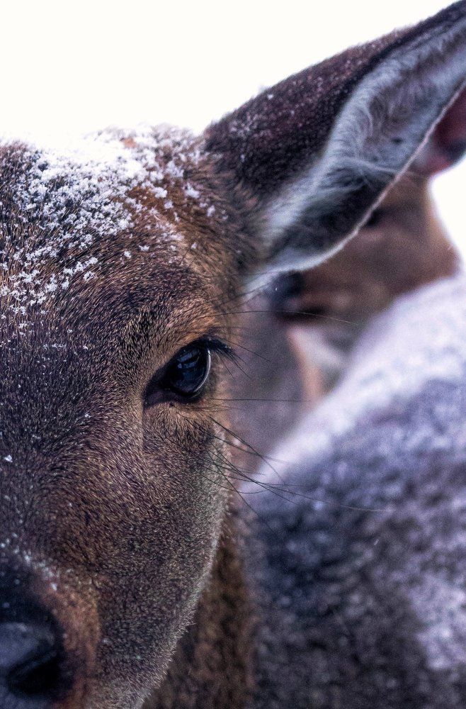 Взгляд молодости