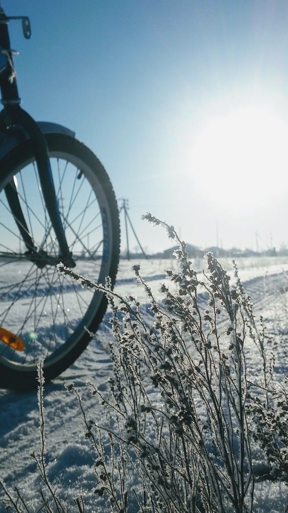 Пробуй новое и никогда не останавливайся