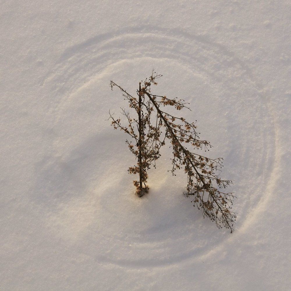 Не подскажете, который час?