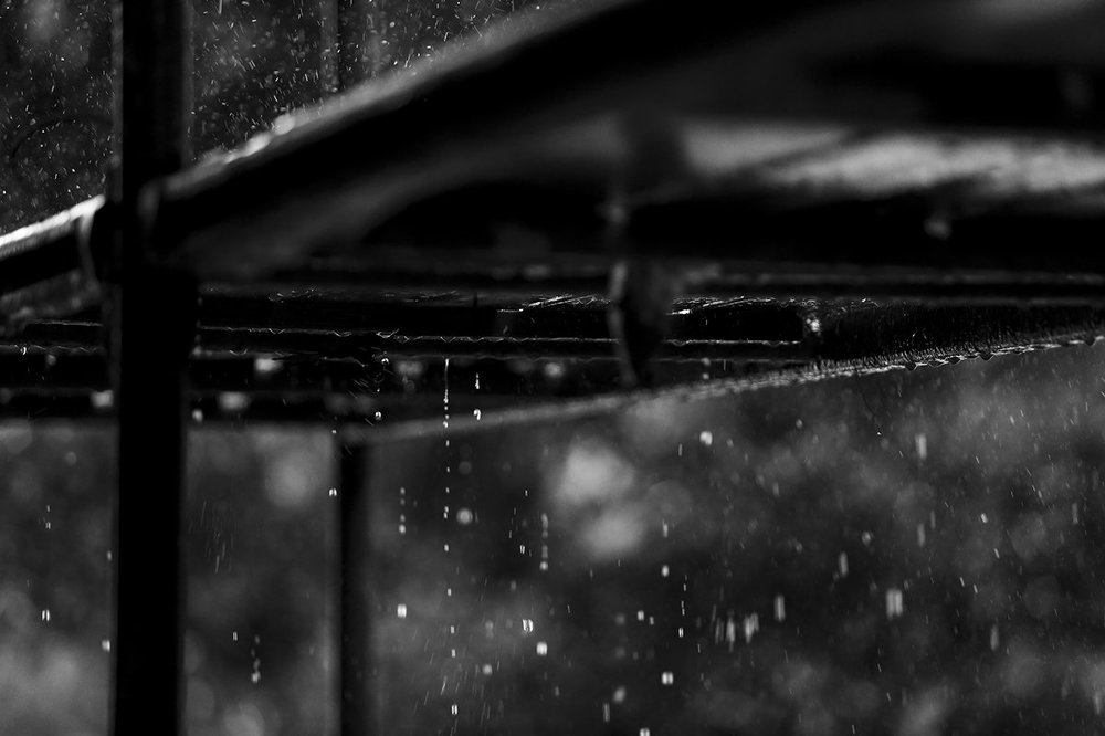 The Rain