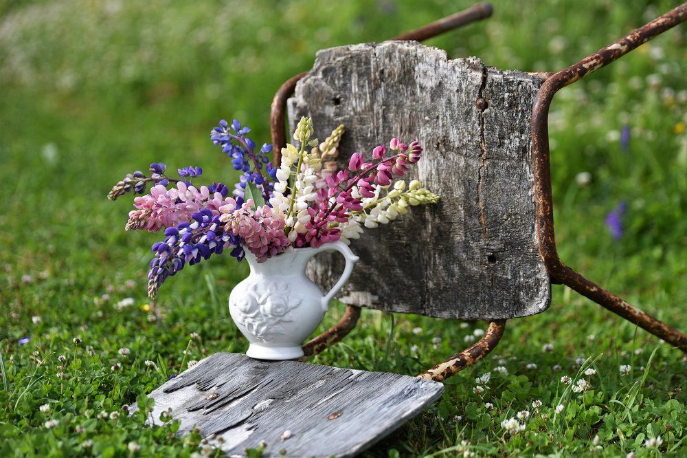 Натюрморт со страрым стулом