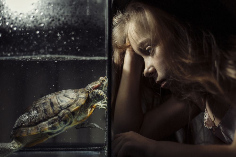 У каждого свои рамки..