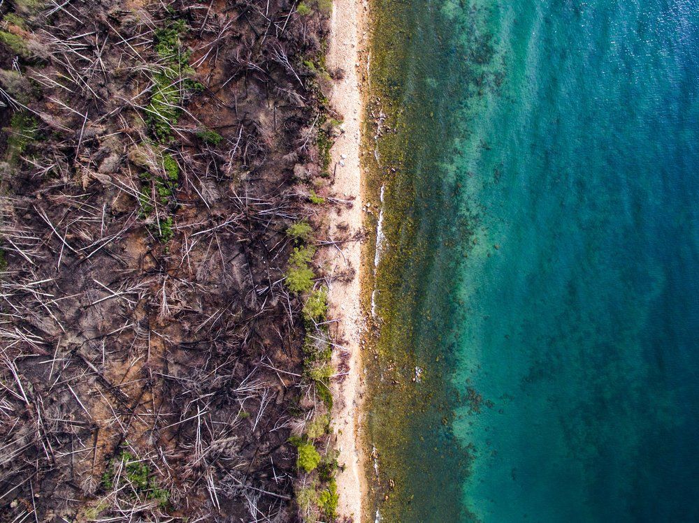 Человек - остановись!