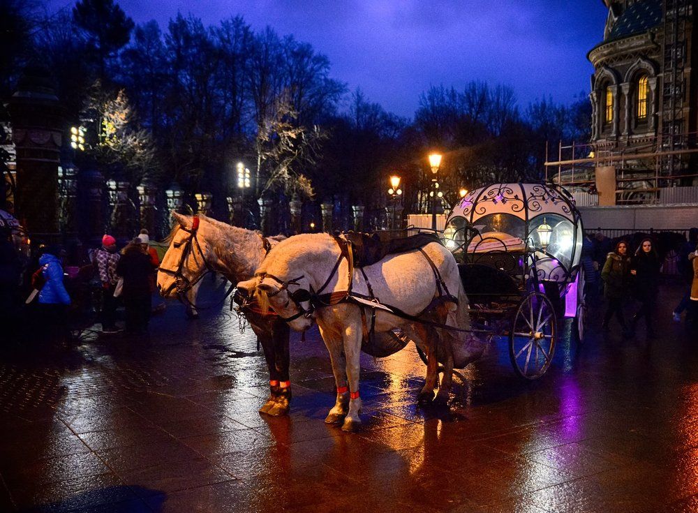 Питер вечерний