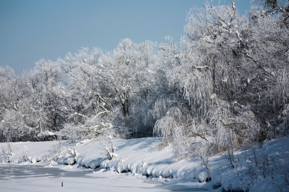 Winter day