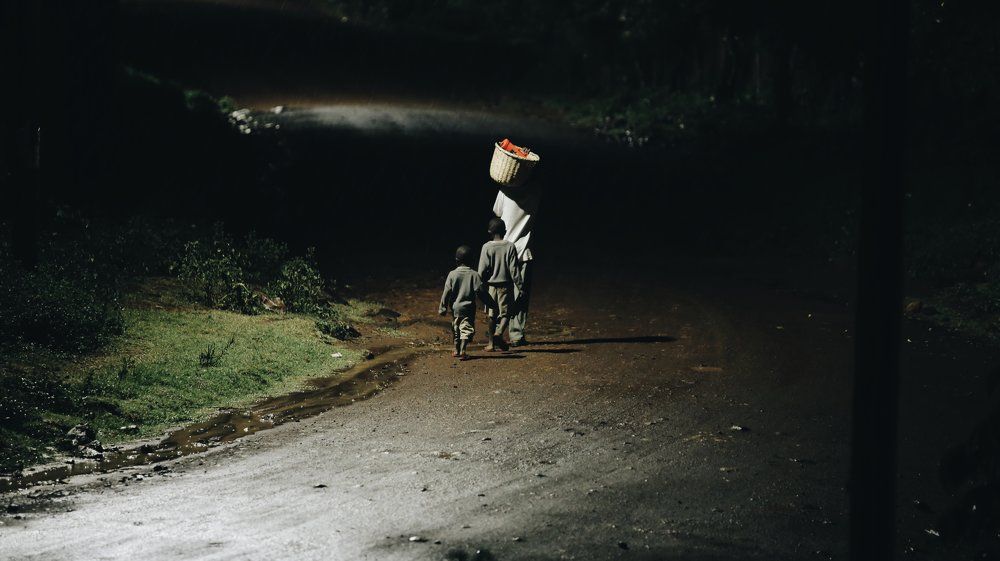 Photograph by Сергей