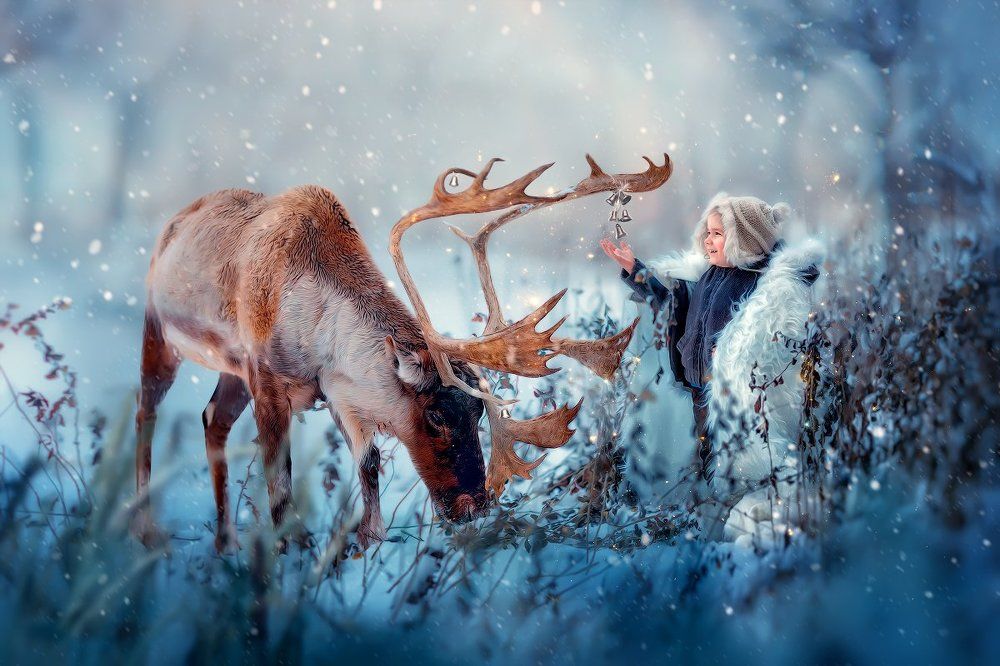 Северные сказки