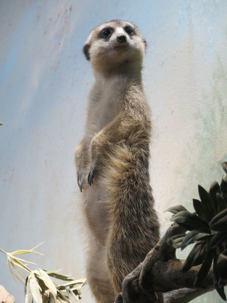 Photo #2236369