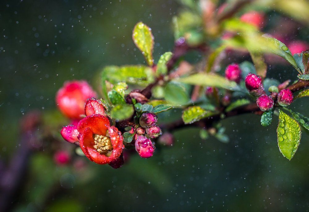 А весна то не за горами!