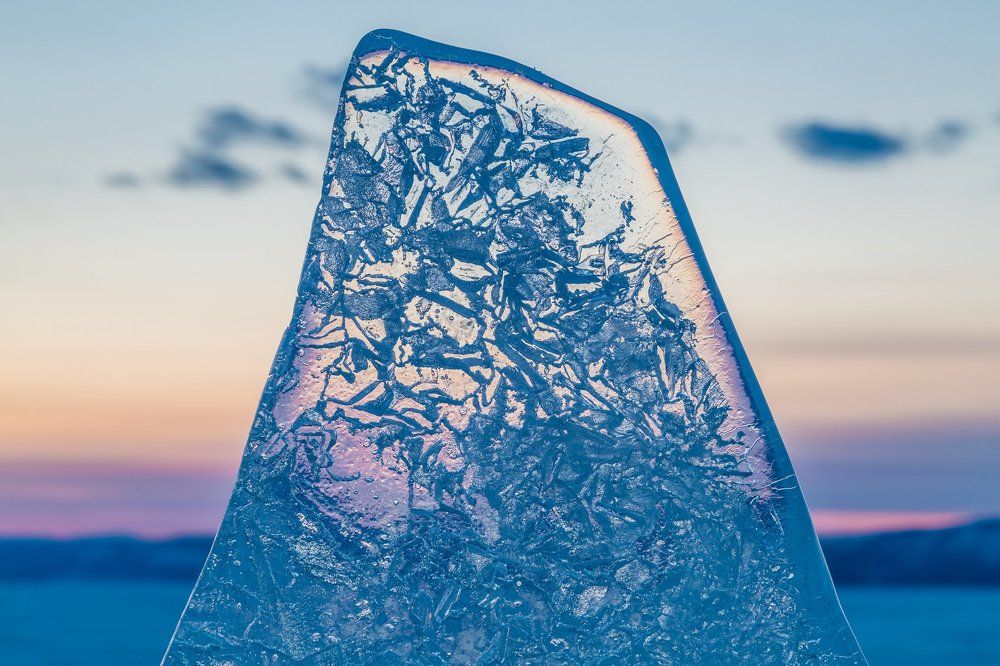 Байкальская ледяная акула