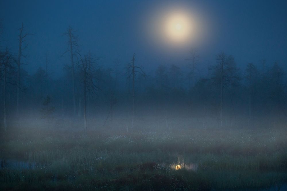 Луна в кармашке