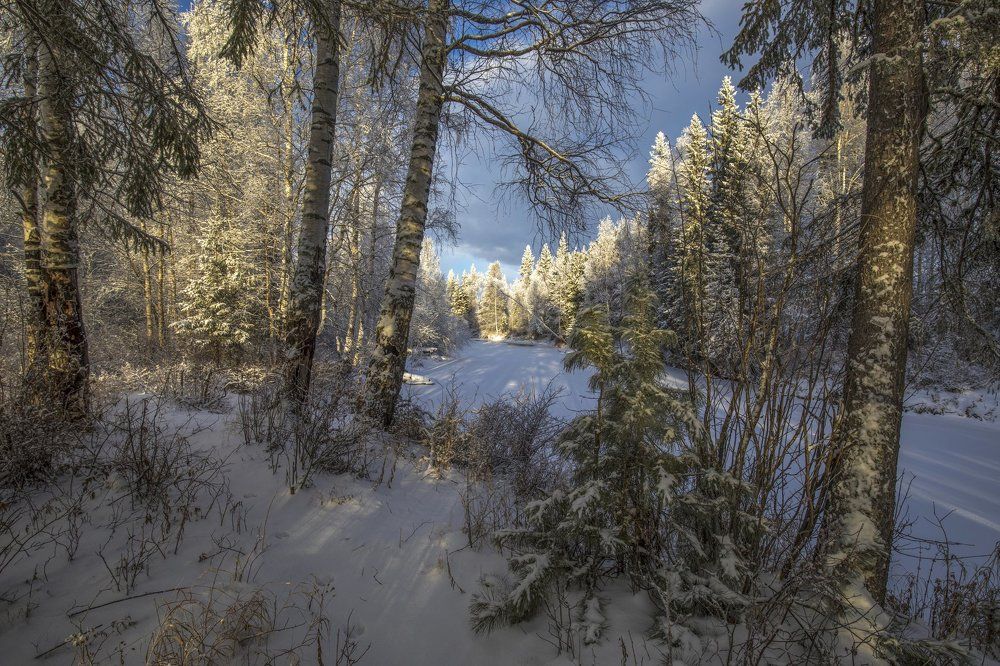 На берегу таежной реки