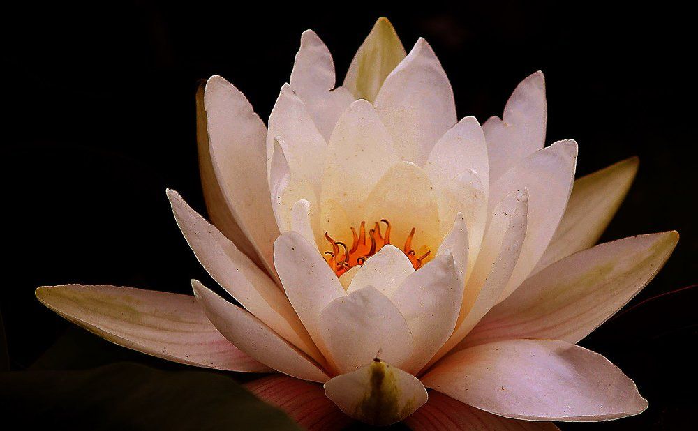 Фотография автора Владислава Андрюнина