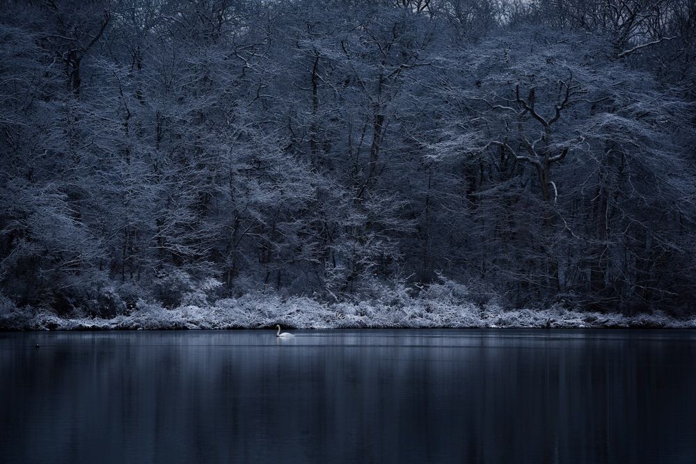 First snow on Long Island