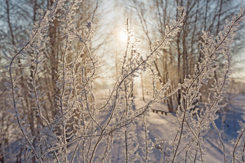 Морозный рассвет