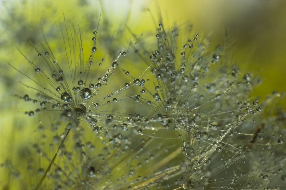 Невесомость