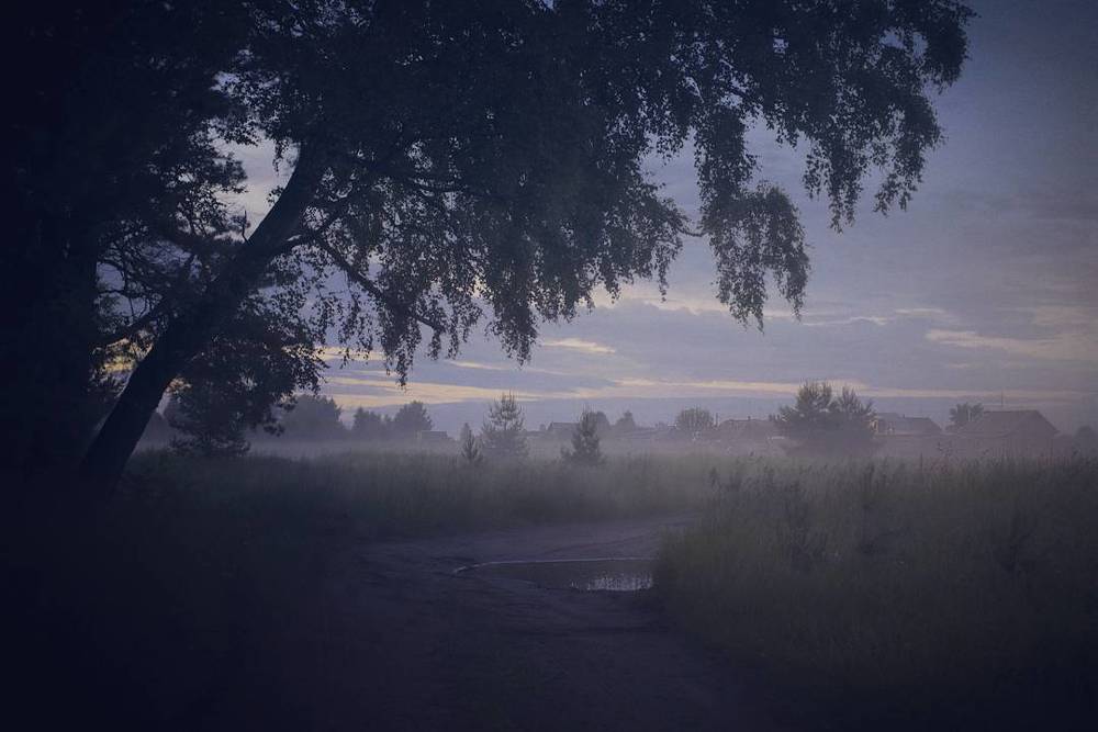 Закатный туман