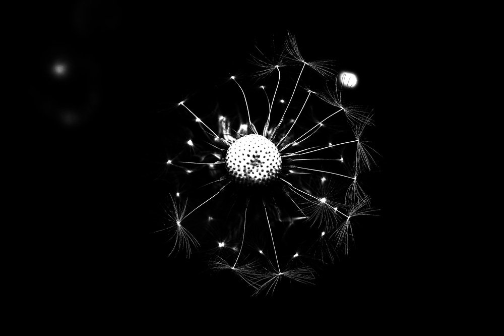 Фотография автора Владислава Андрюнина