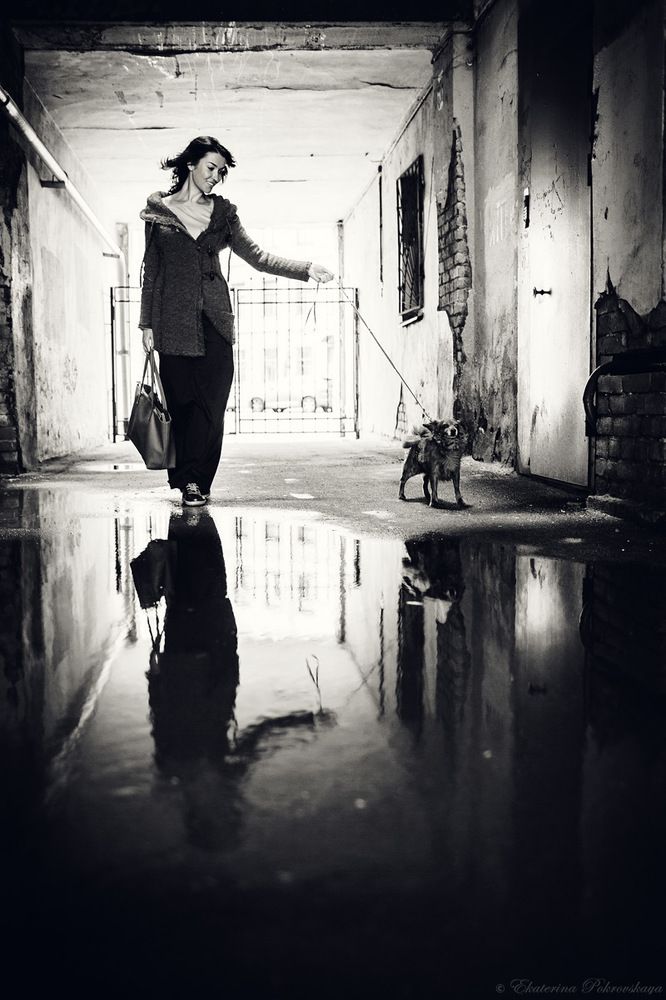 Дама с собачкой