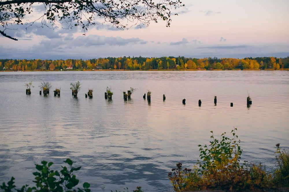 Photograph by Russkikh Maria