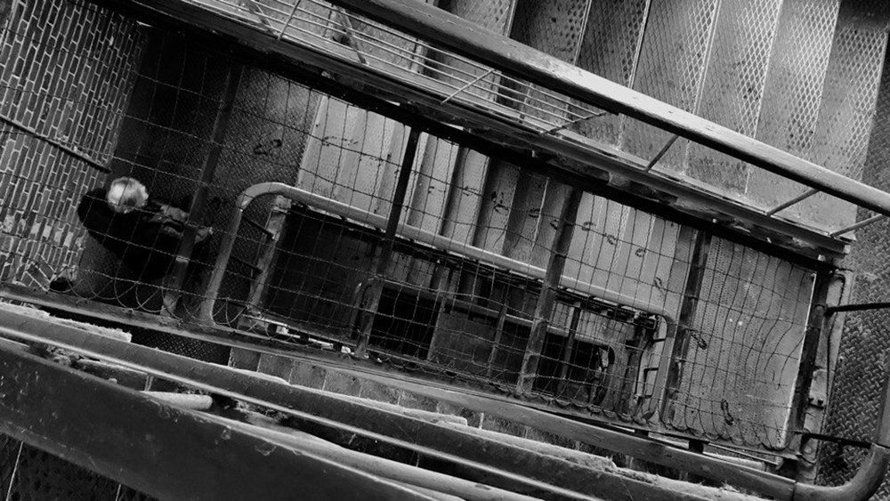 Фотография автора Ермаков Павел