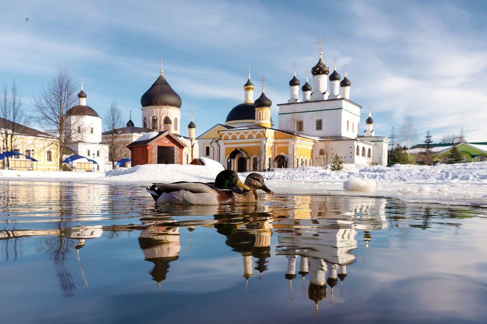 Умиротворение