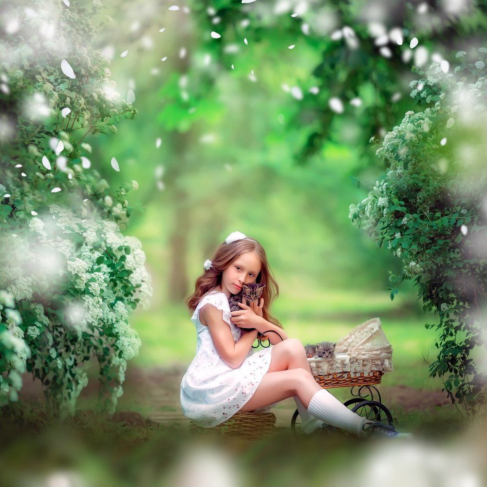 Котята нашего двора)