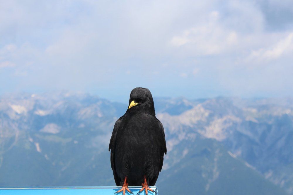 Photograph by Константин