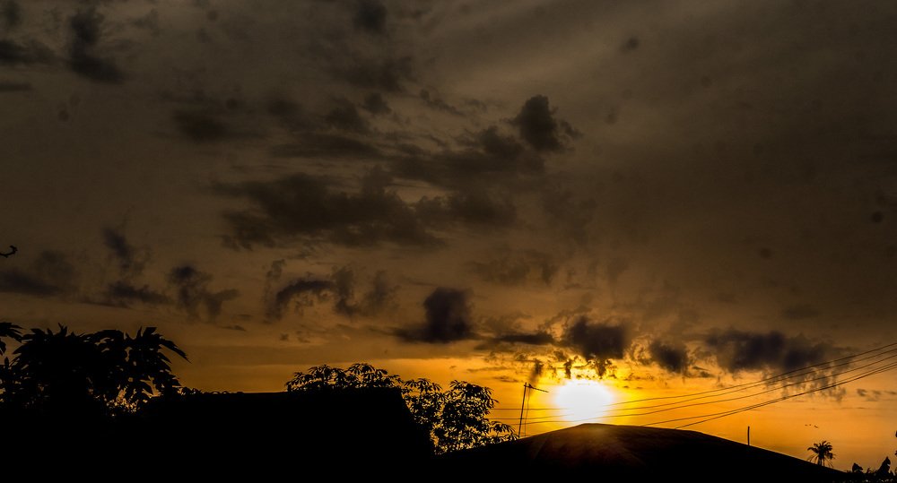 Irreplaceable Nature